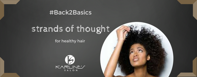 Back2Basics Hair Care